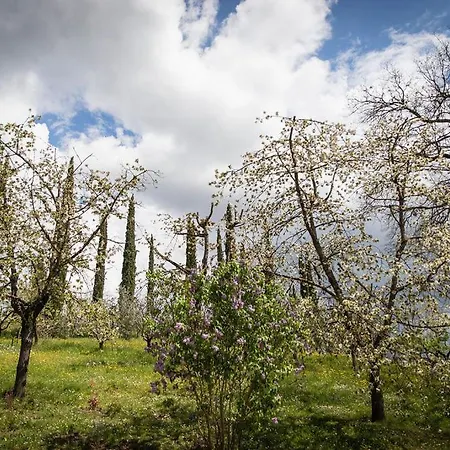 Lejlighed Le Pozze *